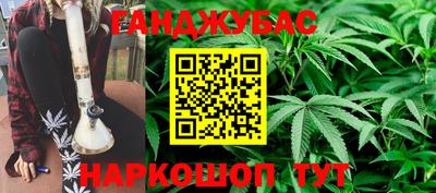 spice Бердск